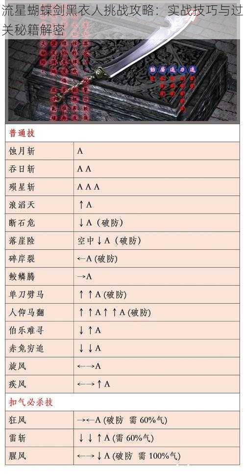 流星蝴蝶剑黑衣人挑战攻略：实战技巧与过关秘籍解密