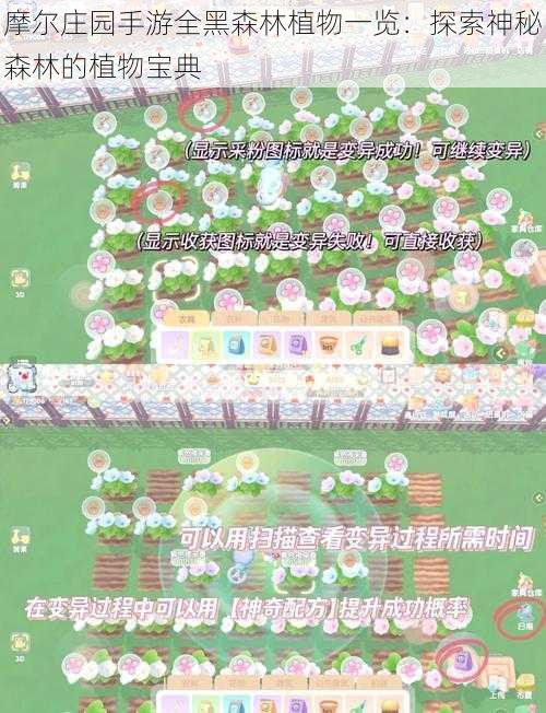 摩尔庄园手游全黑森林植物一览：探索神秘森林的植物宝典