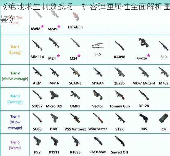 《绝地求生刺激战场：扩容弹匣属性全面解析图鉴》