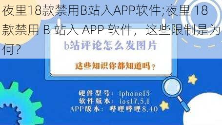 夜里18款禁用B站入APP软件;夜里 18 款禁用 B 站入 APP 软件，这些限制是为何？