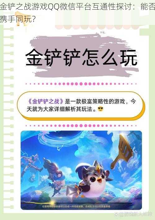 金铲之战游戏QQ微信平台互通性探讨：能否携手同玩？