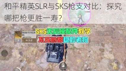 和平精英SLR与SKS枪支对比：探究哪把枪更胜一寿？