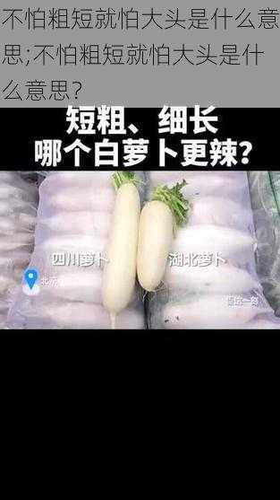 不怕粗短就怕大头是什么意思;不怕粗短就怕大头是什么意思？