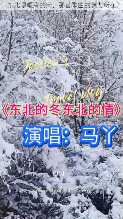 东北嘎嘎冷的天，那首歌曲的魅力所在