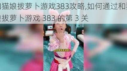 和猫娘拔萝卜游戏383攻略,如何通过和猫娘拔萝卜游戏 383 的第 3 关