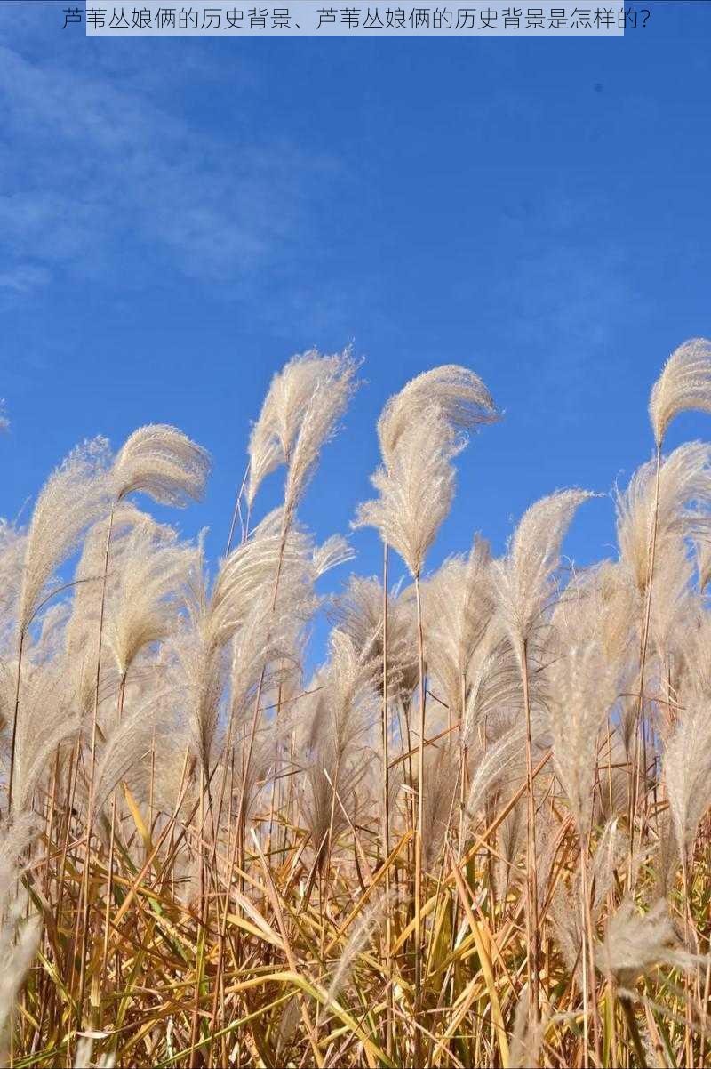 芦苇丛娘俩的历史背景、芦苇丛娘俩的历史背景是怎样的？