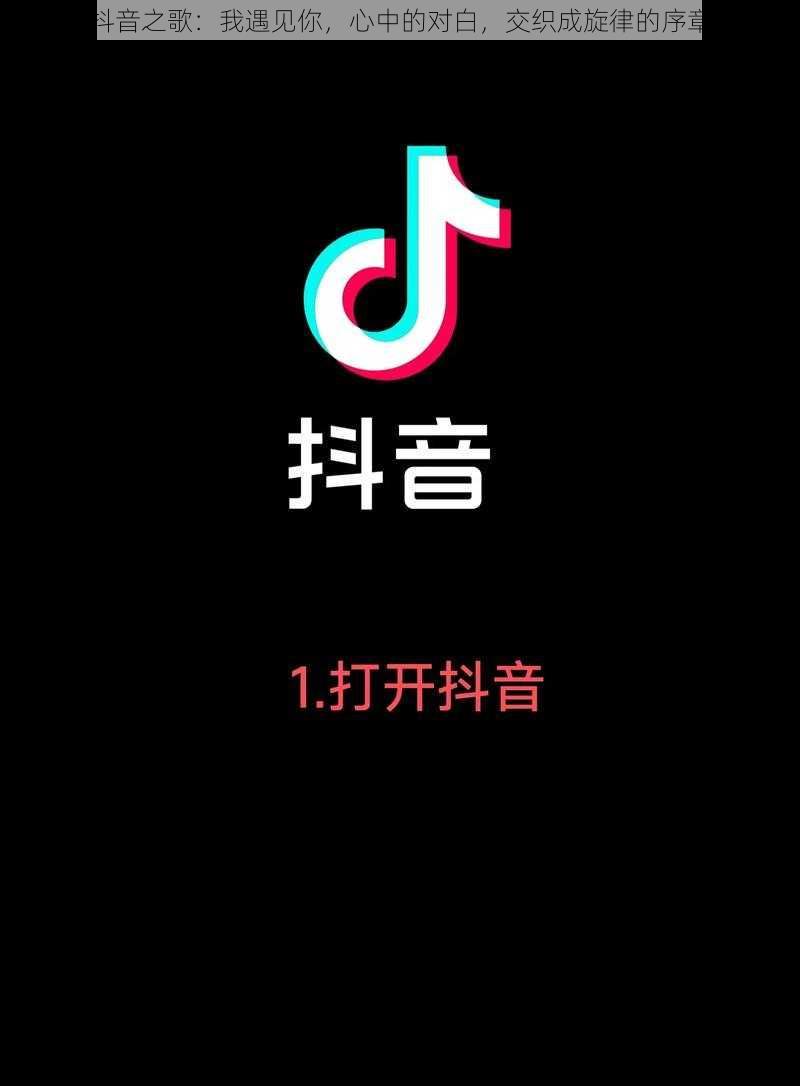 抖音之歌：我遇见你，心中的对白，交织成旋律的序章