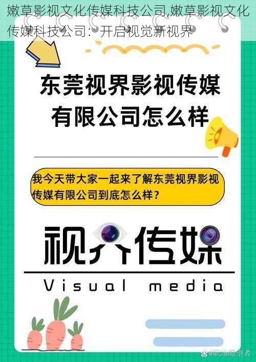 嫩草影视文化传媒科技公司,嫩草影视文化传媒科技公司：开启视觉新视界