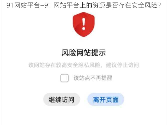 91网站平台—91 网站平台上的资源是否存在安全风险？