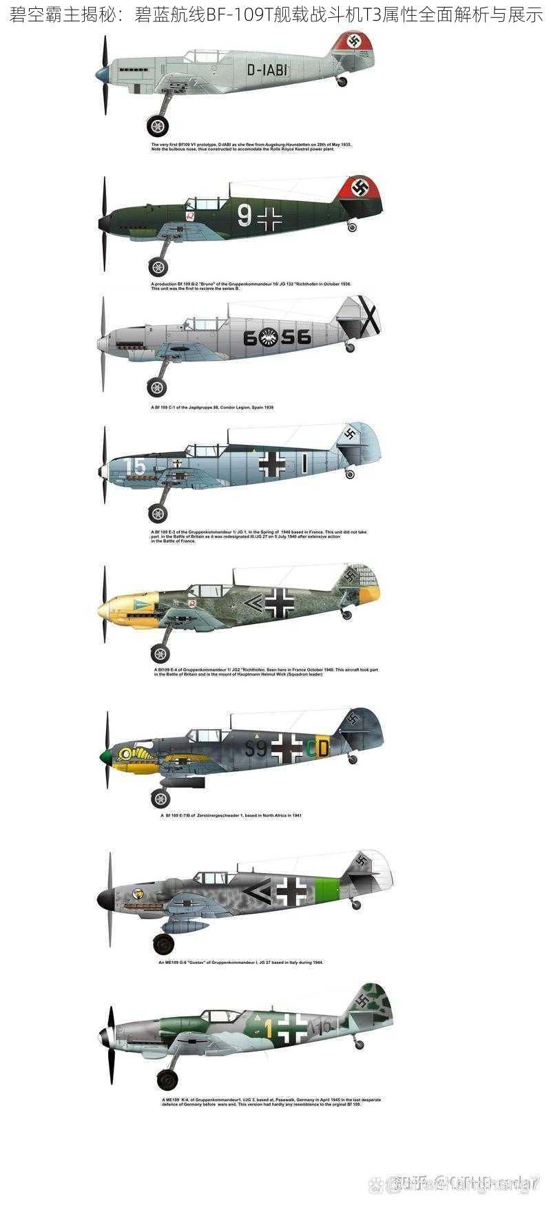 碧空霸主揭秘：碧蓝航线BF-109T舰载战斗机T3属性全面解析与展示