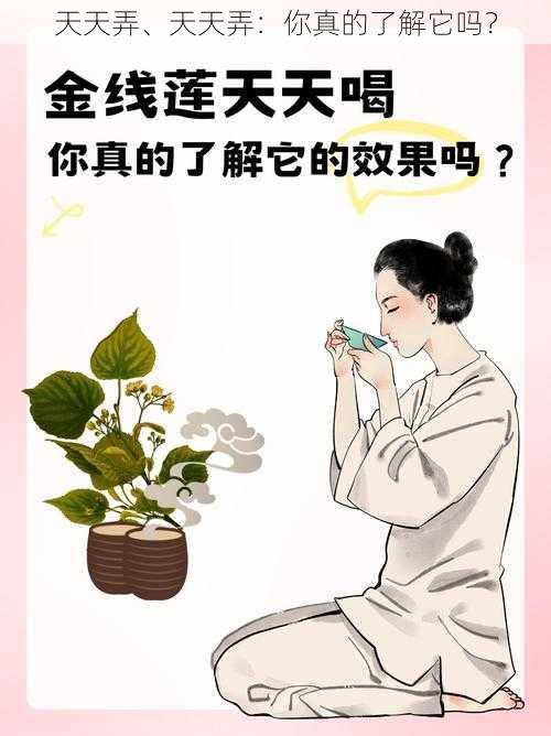 天天弄、天天弄：你真的了解它吗？