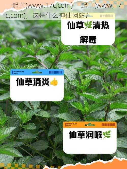 一起草(www,17c,com) 一起草(www,17c,com)，这是什么神仙网站？