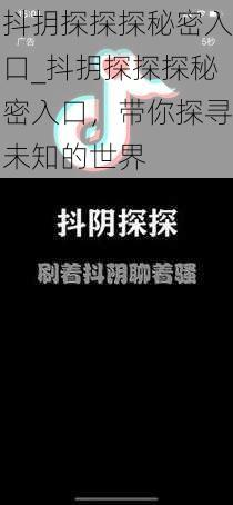 抖抈探探探秘密入口_抖抈探探探秘密入口，带你探寻未知的世界