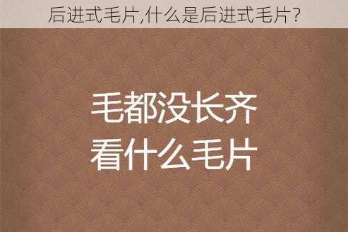 后进式毛片,什么是后进式毛片？