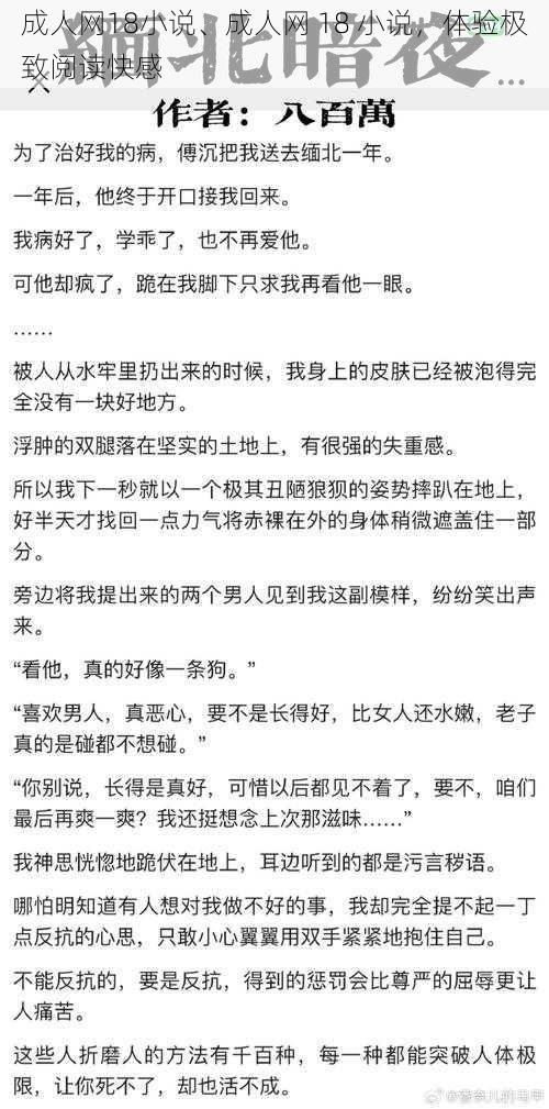 成人网18小说、成人网 18 小说，体验极致阅读快感