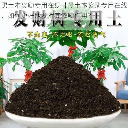 黑土本奖励专用在线【黑土本奖励专用在线，如何更好地发挥其激励作用？】