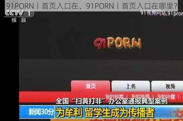 91PORN丨首页入口在、91PORN丨首页入口在哪里？