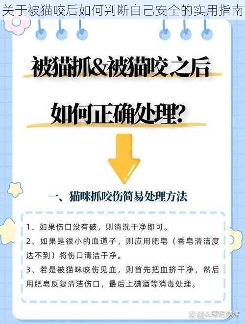 关于被猫咬后如何判断自己安全的实用指南