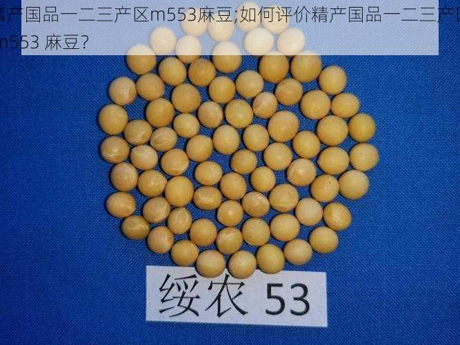 精产国品一二三产区m553麻豆;如何评价精产国品一二三产区 m553 麻豆？