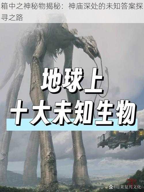 箱中之神秘物揭秘：神庙深处的未知答案探寻之路