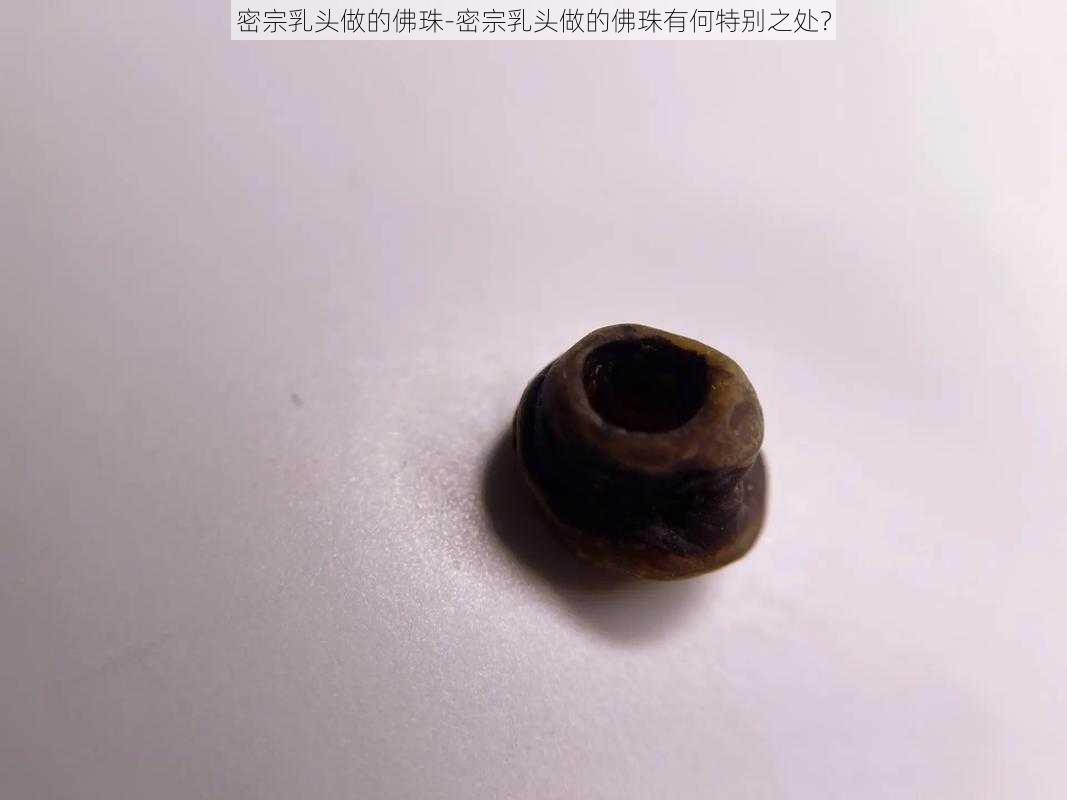 密宗乳头做的佛珠-密宗乳头做的佛珠有何特别之处？