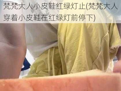 梵梵大人小皮鞋红绿灯止(梵梵大人穿着小皮鞋在红绿灯前停下)