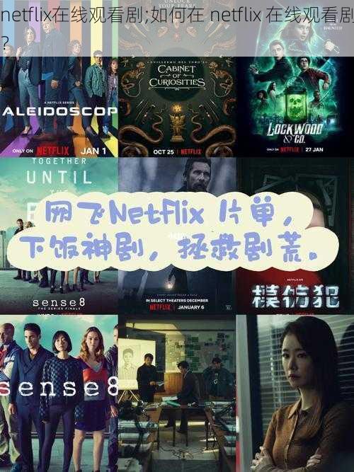 netflix在线观看剧;如何在 netflix 在线观看剧？