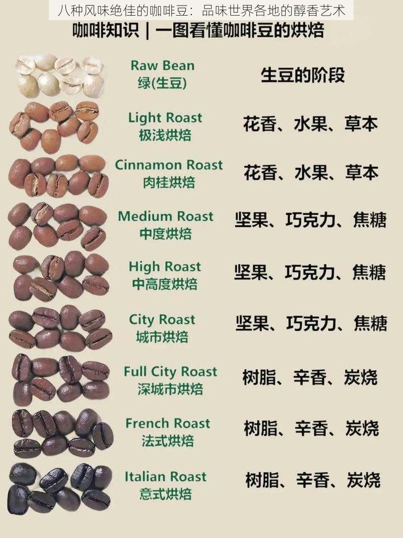 八种风味绝佳的咖啡豆：品味世界各地的醇香艺术