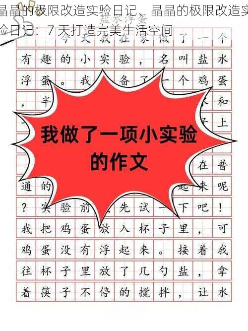 晶晶的极限改造实验日记、晶晶的极限改造实验日记：7 天打造完美生活空间