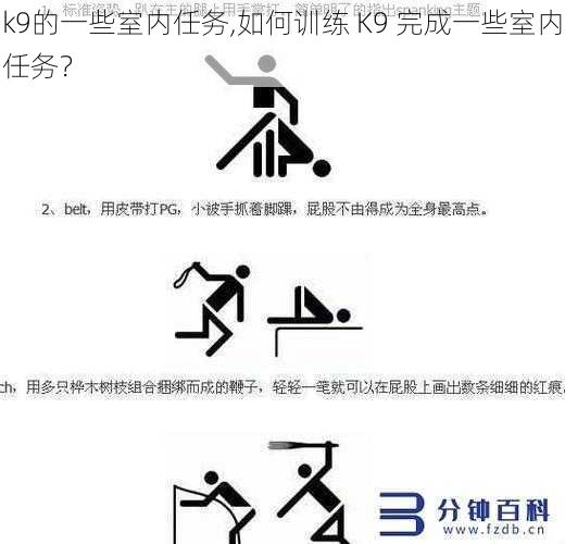 k9的一些室内任务,如何训练 K9 完成一些室内任务？