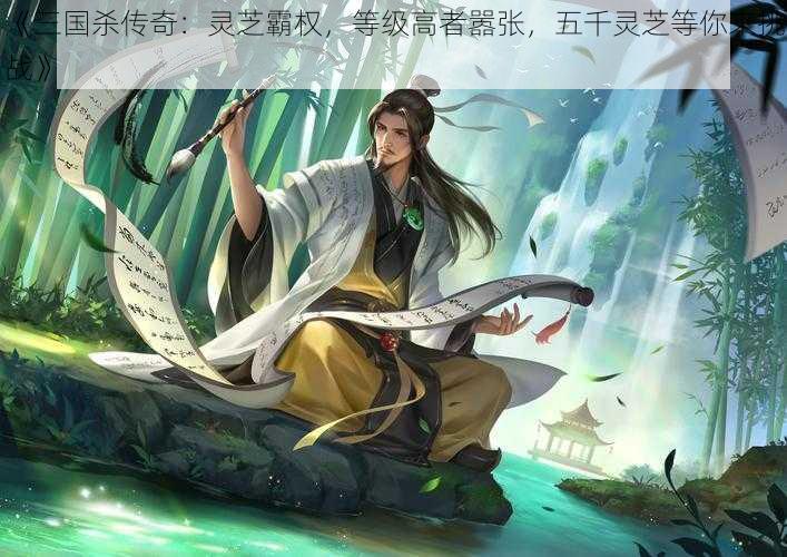 《三国杀传奇：灵芝霸权，等级高者嚣张，五千灵芝等你来挑战》