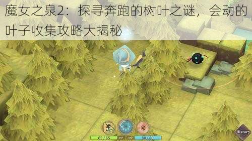 魔女之泉2：探寻奔跑的树叶之谜，会动的叶子收集攻略大揭秘