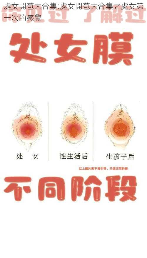 處女開苞大合集;處女開苞大合集之處女第一次的感覺