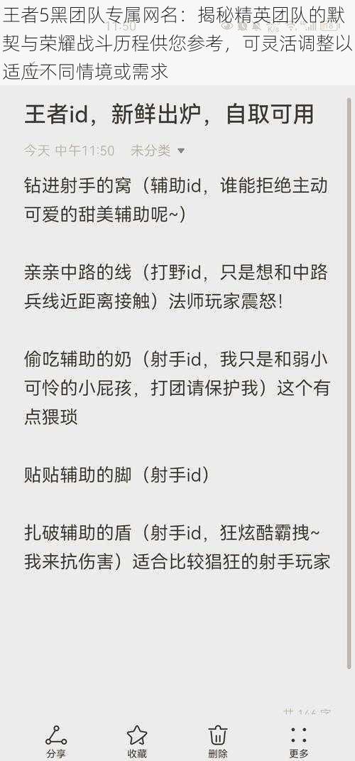 王者5黑团队专属网名：揭秘精英团队的默契与荣耀战斗历程供您参考，可灵活调整以适应不同情境或需求