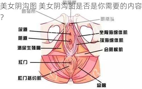 美女阴沟图 美女阴沟图是否是你需要的内容？