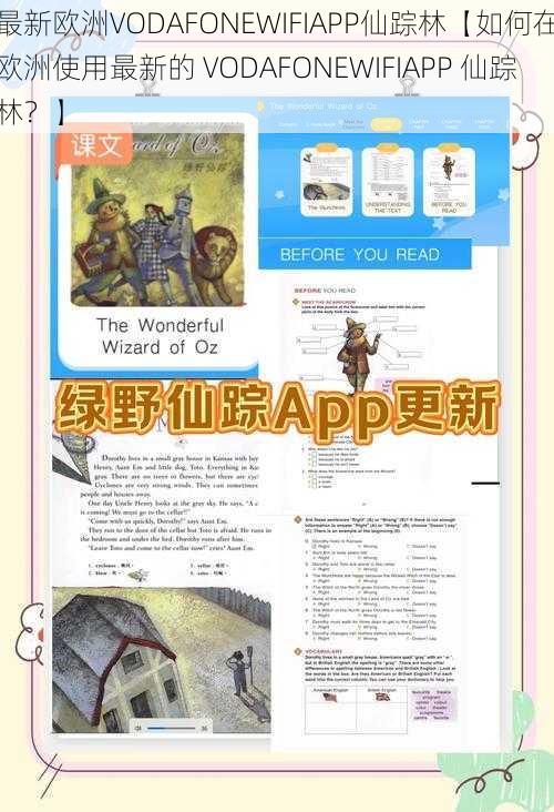 最新欧洲VODAFONEWIFIAPP仙踪林【如何在欧洲使用最新的 VODAFONEWIFIAPP 仙踪林？】