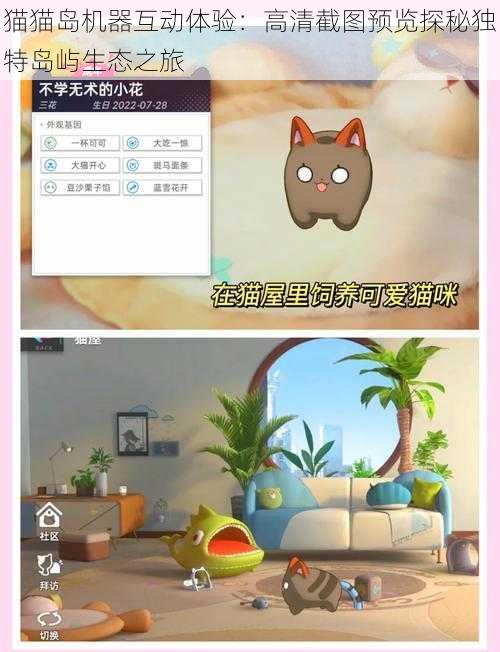 猫猫岛机器互动体验：高清截图预览探秘独特岛屿生态之旅