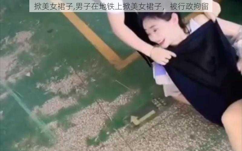 掀美女裙子,男子在地铁上掀美女裙子，被行政拘留