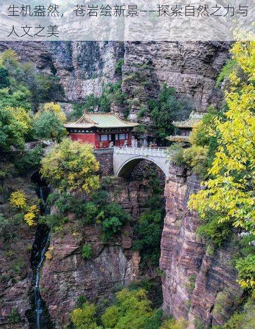 生机盎然，苍岩绘新景——探索自然之力与人文之美