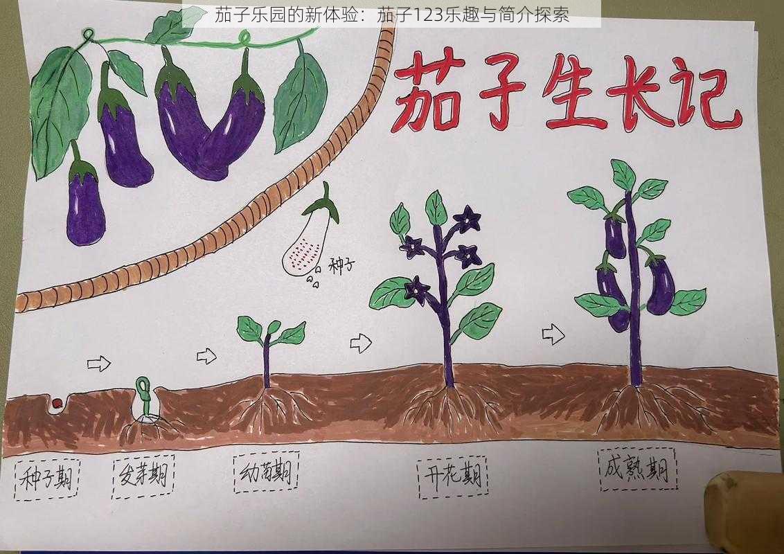 茄子乐园的新体验：茄子123乐趣与简介探索