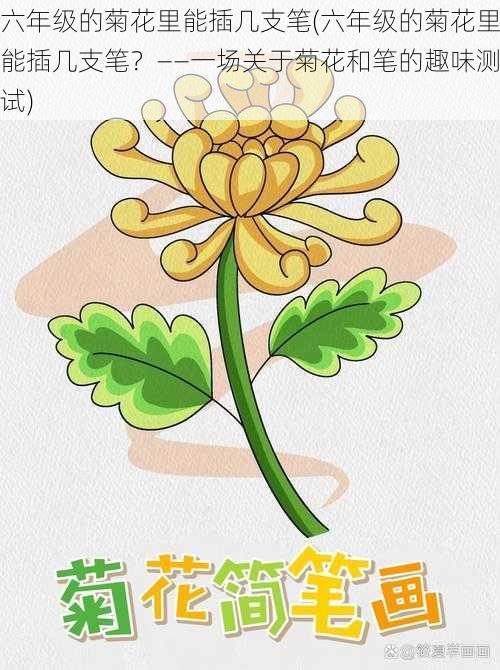 六年级的菊花里能插几支笔(六年级的菊花里能插几支笔？——一场关于菊花和笔的趣味测试)