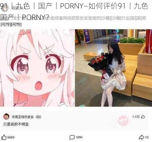 91丨九色丨国产丨PORNY—如何评价91丨九色丨国产丨PORNY？