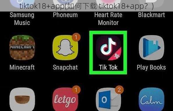 tiktok18+app(如何下载 tiktok18+app？)