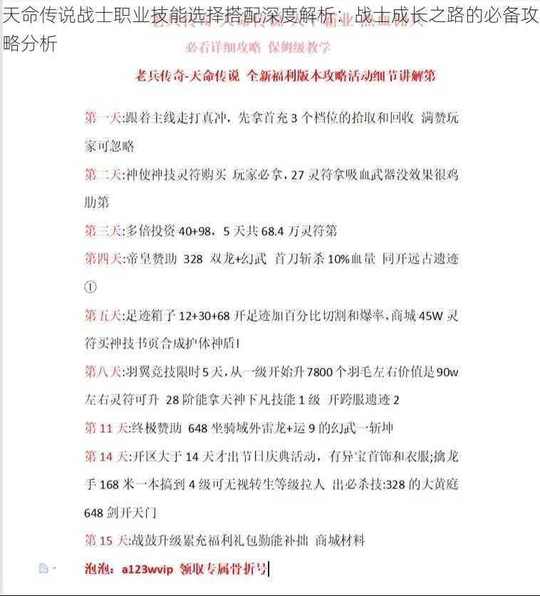 天命传说战士职业技能选择搭配深度解析：战士成长之路的必备攻略分析