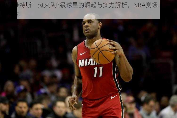 迪昂维特斯：热火队B级球星的崛起与实力解析，NBA赛场上的璀璨明珠